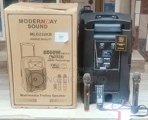 Modern Day 12 Inches Public Address System Model No 232kb