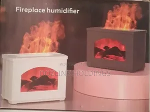 Fireplace Humidifier