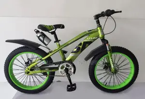 Li-Link Teen/Children Bicycle - 20inches