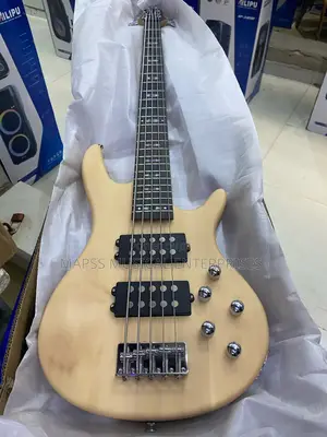 Alvarez Passive Five Strings Bass
