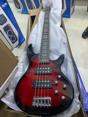 Alvarez Five String Electric Bass Guitar