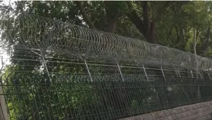 Electric Perimeter Fence And Chain Link Fence