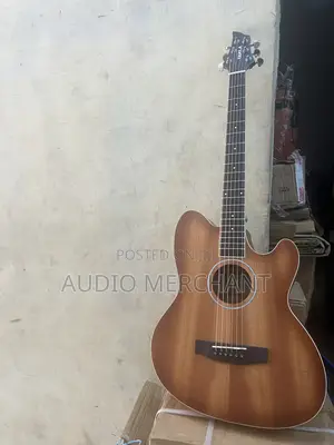 Professional Electric Semi Acoustic Guitar