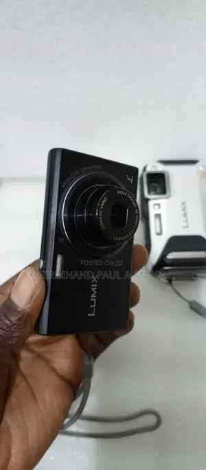 Panasonic Digital Photo and Video Camera for Vintage Snapping