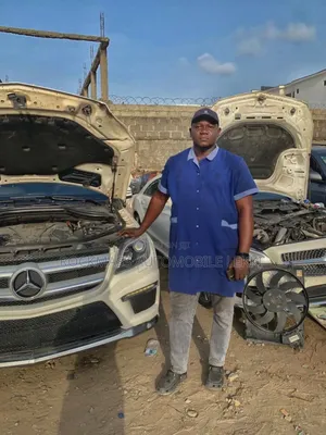 Mercedes Benz Specialist