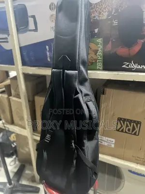 Professional Electric Guitar Bag