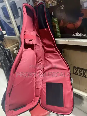 Professional Electric Guitar Bag