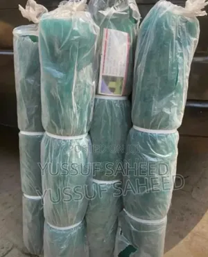 Scaffolding Net
