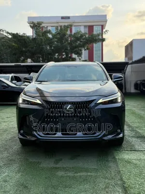 Lexus NX 2023 Gray