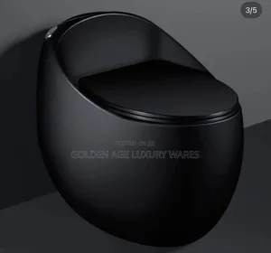 Black One-Piece Executive Wc