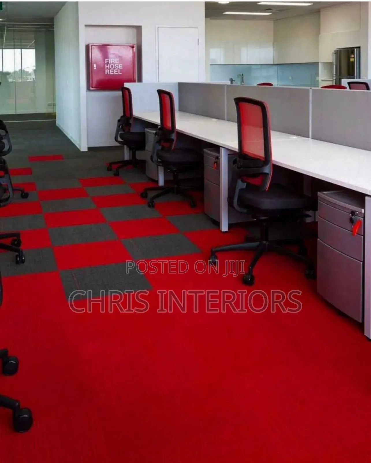 Carpet Rug