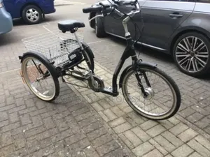 Adult 3- Wheel Electric Bicycle