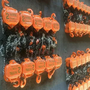2 Tons Chain Block Vital 3 Meter Chain