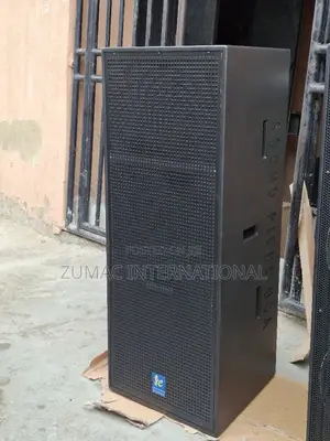Double Speaker