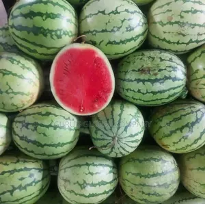 10piece Sweet Fresh Watermelon