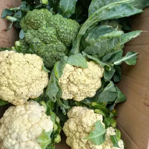 Fresh Cauliflower