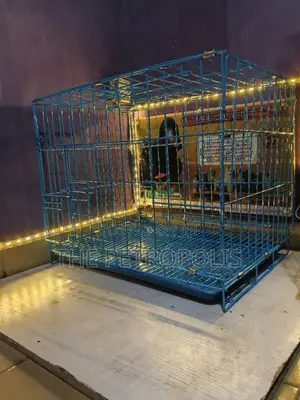 Collapsible Dog Cage