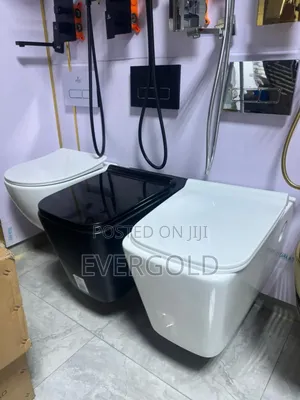 Conceal Water Closet With Complete Accessories And Sure Guaranteed