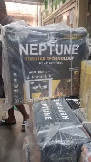 240ah Neptune Tubular Battery