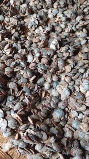 Stones for Iru Ekiti