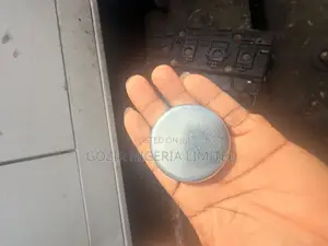 Core Plug/Cup Plug