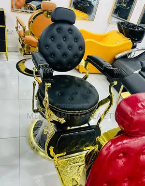 Professional Salon Luxury Chairs