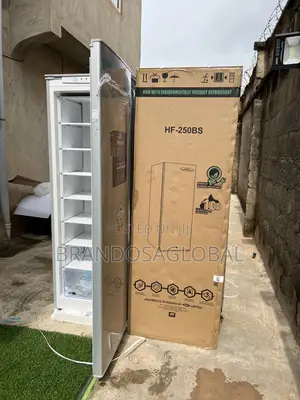 Haier Thermocool Hf-250bs – Upright 235l Freezer, Compact Strong