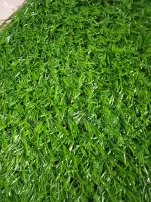 Carpet Grass Installation Services