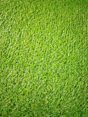 Carpet Grass Installation Services
