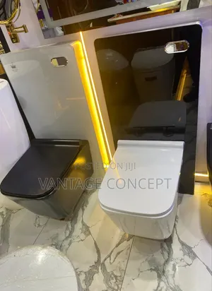 Wall Hung Wc