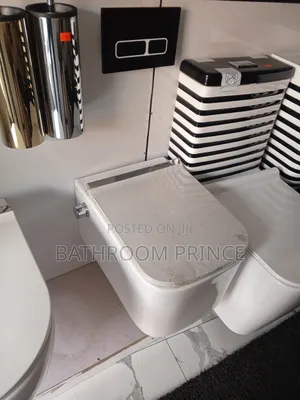 Square Shape Conceal Water Closet With Black Flush Button