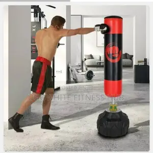 Standing Punching Bag