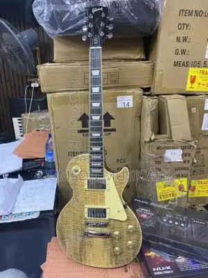 Gibson Usa Les Paul Standard Professional Guitar Gibson