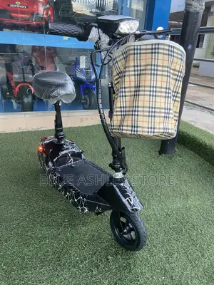 Foldable Mini Electric Scooter 24v Wit Seat for Adult and Teens Black