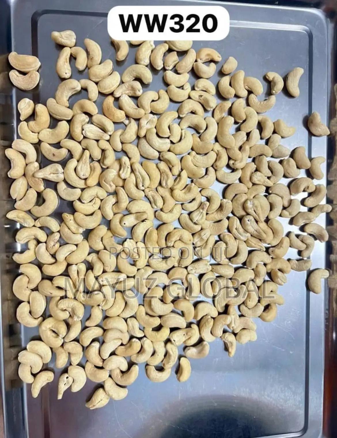 Processed Cashew Nuts