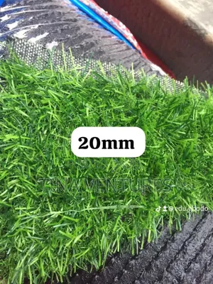 Artificial Grass