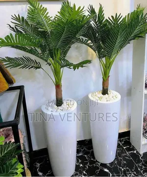Flower and Pot