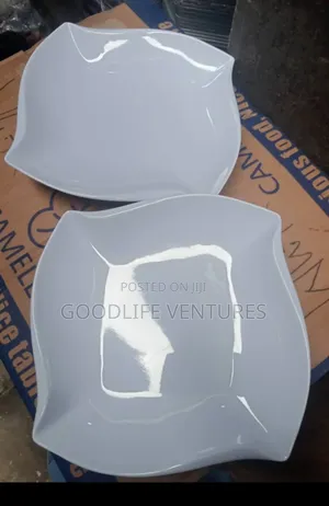 1 Dozen of Unbreakable Melamine Plate