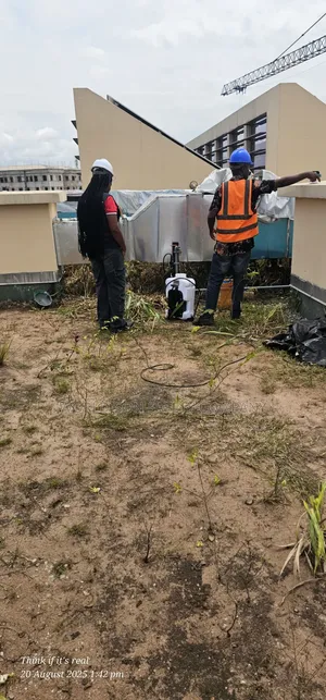 Pests Control and Fumigation Services