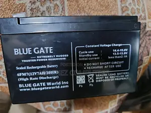 Blue Gate Ups Battery