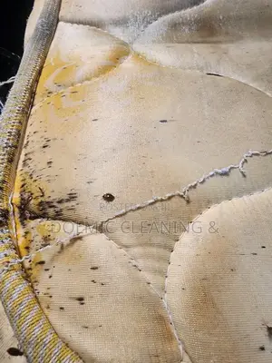 Fumigation For Bedbug Treatment