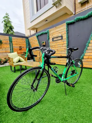 Professional Sports Bicycle