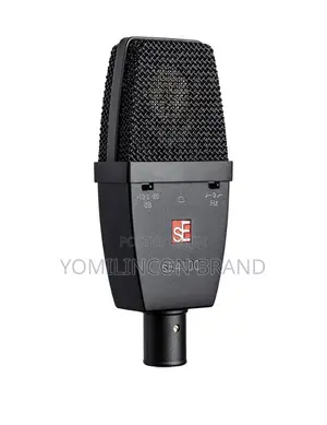 Se Electronics Se4100 Large-Diaphragm Condenser Microphone