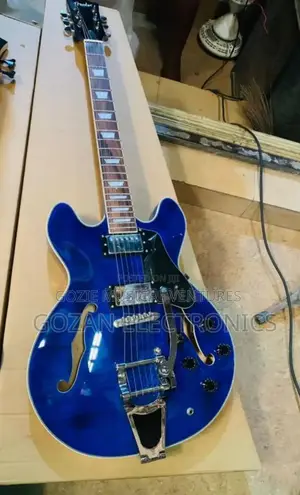 Fender Semi_semi Hollow Body Electric Guitar