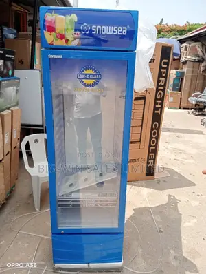 Snowed Display Refrigerator