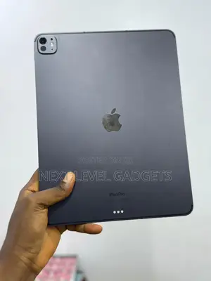 Apple iPad Pro 13 (2024) 256 GB Gray
