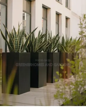 Plant Beautification