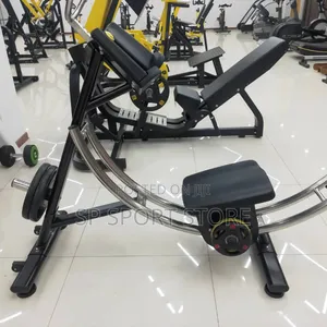 Commercial Ab Coaster