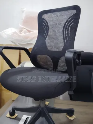 Spine Support Chair / Office Chair
