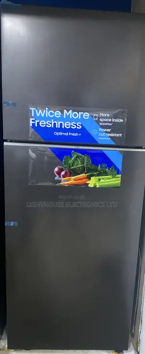 Samsung Refrigerator Rt47cg6l31
